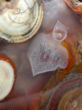 Load image into Gallery viewer, Rare Moroccan Orbicular Agate Collected by Indigenous Nomads | Ancient Beauty from the Sahara