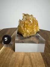 Load image into Gallery viewer, Glowing Flame Calcite Cluster from Maharashtra • High Grade