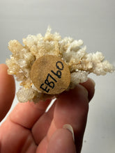 Load image into Gallery viewer, High-Grade Flower Calcite Crystal Specimen | Wenshan Mine, Yunnan, China | Collector Mineral Display