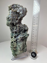 Load image into Gallery viewer, Grape Agate from Indonesia • Mineral Collector’s Showpiece Specimen