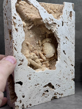 Load image into Gallery viewer, Fossil - Crab in Travertine