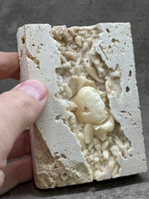 Load image into Gallery viewer, Fossil - Crab in Travertine