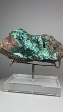Load and play video in Gallery viewer, Chrysocolla Druzy Botryoidal Stalactites Pseudomorph after Malachite on Matrix from Congo • Fine Mineral Collector’s Showpiece