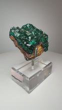 Load and play video in Gallery viewer, Dioptase Cluster from Congo • High Grade • Mineral Collector’s Specimen Showpiece