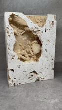 Load and play video in Gallery viewer, Fossil - Crab in Travertine