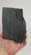 Load and play video in Gallery viewer, Black Druzy Petrified Wood from Indonesia