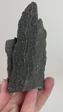 Load and play video in Gallery viewer, Black Druzy Petrified Wood from Indonesia