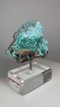 Load and play video in Gallery viewer, Chrysocolla Druzy Botryoidal Stalactites Pseudomorph after Malachite on Matrix from Congo • Fine Mineral Collector’s Showpiece