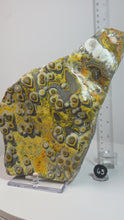 Load and play video in Gallery viewer, Bumblebee Jasper Agate Free Form • from West Java, Indonesia • AAA High Grade
