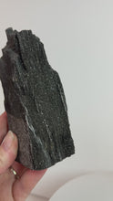 Load and play video in Gallery viewer, Black Druzy Petrified Wood from Indonesia
