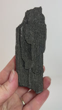 Load and play video in Gallery viewer, Black Druzy Petrified Wood from Indonesia