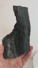 Load and play video in Gallery viewer, Black Druzy Petrified Wood from Indonesia