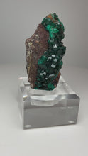 Load and play video in Gallery viewer, Dioptase Cluster from Congo • High Grade • Mineral Collector’s Specimen Showpiece