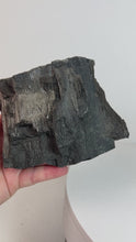 Load and play video in Gallery viewer, Black Druzy Petrified Wood from Indonesia