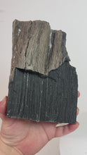 Load and play video in Gallery viewer, Black Druzy Petrified Wood from Indonesia
