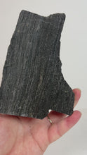 Load and play video in Gallery viewer, Black Druzy Petrified Wood from Indonesia