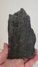 Load and play video in Gallery viewer, Black Druzy Petrified Wood from Indonesia