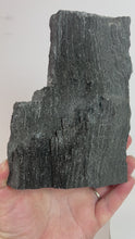 Load and play video in Gallery viewer, Black Druzy Petrified Wood from Indonesia