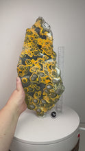 Load and play video in Gallery viewer, Bumblebee Jasper Agate Free Form • from West Java, Indonesia • AAA High Grade