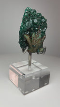 Load and play video in Gallery viewer, Dioptase Cluster from Congo • High Grade • Mineral Collector’s Specimen Showpiece