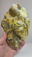 Load and play video in Gallery viewer, Bumblebee Jasper Agate Free Form • from West Java, Indonesia • AAA High Grade