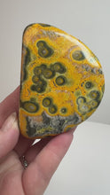 Load and play video in Gallery viewer, Bumblebee Jasper Agate Free Form • from West Java, Indonesia • AAA High Grade