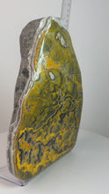 Load and play video in Gallery viewer, Bumblebee Jasper Agate Free Form • from West Java, Indonesia • AAA High Grade