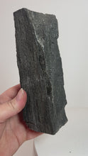 Load and play video in Gallery viewer, Black Druzy Petrified Wood from Indonesia