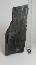 Load and play video in Gallery viewer, Black Druzy Petrified Wood from Indonesia