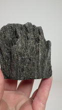 Load and play video in Gallery viewer, Black Druzy Petrified Wood from Indonesia