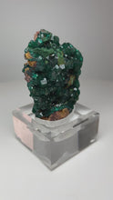 Load and play video in Gallery viewer, Dioptase Cluster from Congo • High Grade • Mineral Collector’s Specimen Showpiece