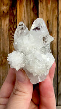 Load and play video in Gallery viewer, Clear Gem Apophyllite + Apophyllite Flower Stalactites • Maharashtra, India
