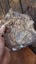 Load and play video in Gallery viewer, Australian Agate • Parallax Agate Pair