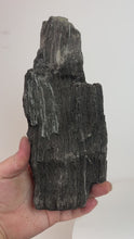 Load and play video in Gallery viewer, Black Druzy Petrified Wood from Indonesia