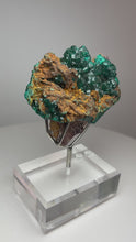 Load and play video in Gallery viewer, Dioptase Cluster from Congo • High Grade • Mineral Collector’s Specimen Showpiece