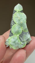 Load and play video in Gallery viewer, Green Wavellite Cluster Mineral Specimen • Arkansas, USA