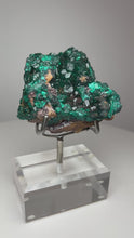 Load and play video in Gallery viewer, Dioptase Cluster from Congo • High Grade • Mineral Collector’s Specimen Showpiece