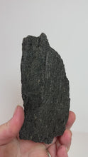 Load and play video in Gallery viewer, Black Druzy Petrified Wood from Indonesia