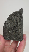 Load and play video in Gallery viewer, Black Druzy Petrified Wood from Indonesia