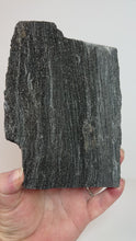 Load and play video in Gallery viewer, Black Druzy Petrified Wood from Indonesia