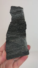 Load and play video in Gallery viewer, Black Druzy Petrified Wood from Indonesia