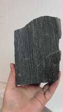 Load and play video in Gallery viewer, Black Druzy Petrified Wood from Indonesia