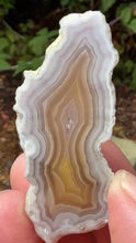 Load and play video in Gallery viewer, High-Grade Parallax Banded Laguna Agate – Soft Yellow & White Banding from Mexico