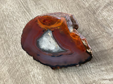 Load image into Gallery viewer, Condor Agate from Argentina • High Grade Mineral Display Specimen• Mirror Polish