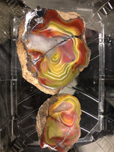Load image into Gallery viewer, Australian Agate • Parallax Agate Pair