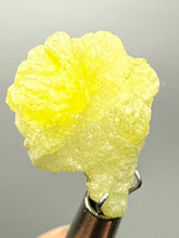Load image into Gallery viewer, Vibrant Yellow Brucite Thumbnail Mineral Specimen | Collector Crystal from Killa Saifullah District in Balochistan Province, Pakistan
