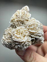 Load image into Gallery viewer, Desert Rose Selenite (Gypsum) — Mineral Display Specimen | Mexico
