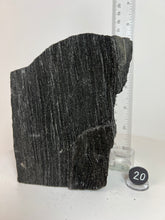 Load image into Gallery viewer, Black Druzy Petrified Wood from Indonesia
