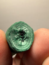 Load image into Gallery viewer, 4.5” High-Grade Malachite Stalactite “Cave” Formation | DR Congo | Mineral Collector Specimen
