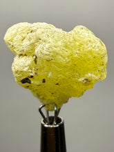 Load image into Gallery viewer, Vibrant Yellow Brucite Thumbnail Mineral Specimen | Collector Crystal from Killa Saifullah District in Balochistan Province, Pakistan
